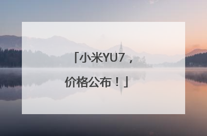 小米YU7，价格公布！