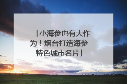 小海参也有大作为！烟台打造海参特色城市名片