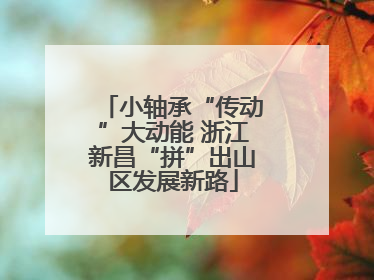 小轴承“传动”大动能 浙江新昌“拼”出山区发展新路