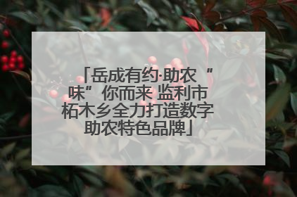岳成有约·助农“味”你而来 监利市柘木乡全力打造数字助农特色品牌