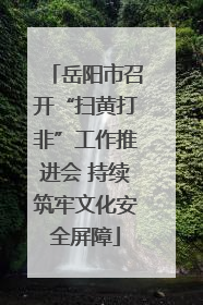 岳阳市召开“扫黄打非”工作推进会 持续筑牢文化安全屏障