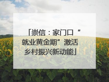 崇信：家门口“就业黄金期”激活乡村振兴新动能