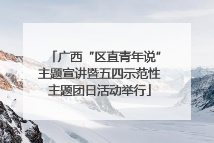 广西“区直青年说”主题宣讲暨五四示范性主题团日活动举行