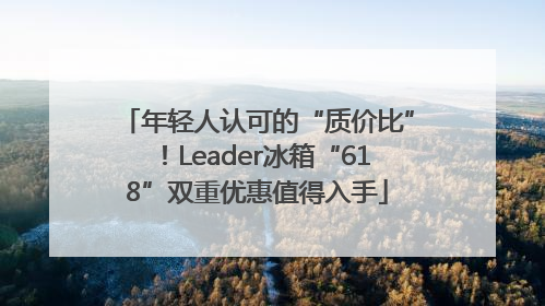 年轻人认可的“质价比”！Leader冰箱“618”双重优惠值得入手