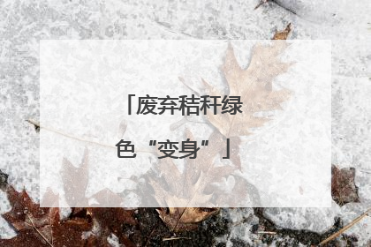 废弃秸秆绿色“变身”