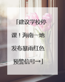 建议学校停课！海南一地发布暴雨红色预警信号→