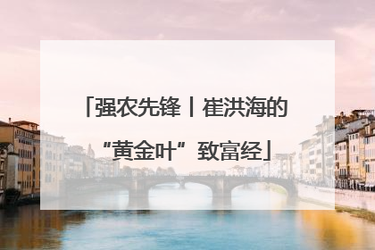 强农先锋丨崔洪海的“黄金叶”致富经