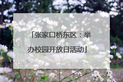 张家口桥东区：举办校园开放日活动