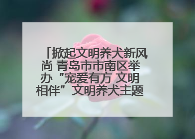 掀起文明养犬新风尚 青岛市市南区举办“宠爱有方 文明相伴”文明养犬主题宣传活动