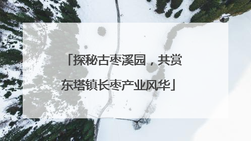 探秘古枣溪园，共赏东塔镇长枣产业风华