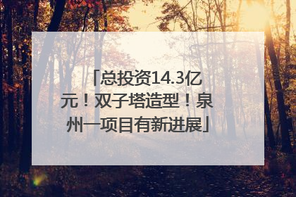 总投资14.3亿元！双子塔造型！泉州一项目有新进展
