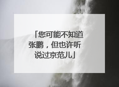 您可能不知道张鹏，但也许听说过京范儿