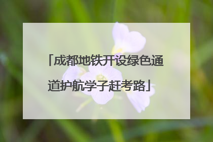 成都地铁开设绿色通道护航学子赶考路