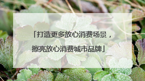 打造更多放心消费场景，擦亮放心消费城市品牌