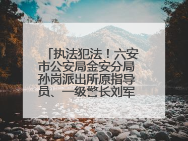 执法犯法！六安市公安局金安分局孙岗派出所原指导员、一级警长刘军被“双开”