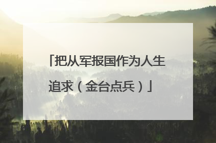 把从军报国作为人生追求（金台点兵）
