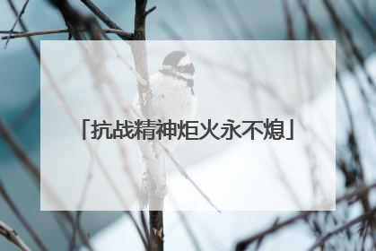 抗战精神炬火永不熄