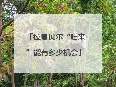 拉夏贝尔“归来”能有多少机会
