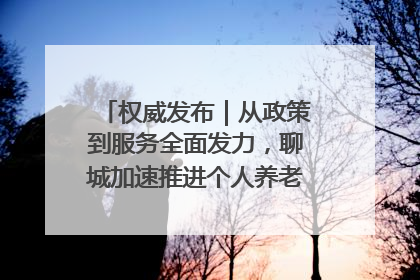 权威发布｜从政策到服务全面发力，聊城加速推进个人养老金制度落地