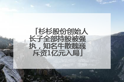 杉杉股份创始人长子全部持股被强执，知名牛散魏巍斥资1亿元入局