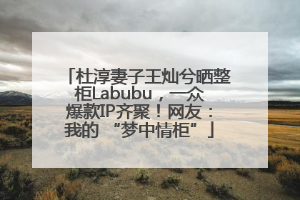 杜淳妻子王灿兮晒整柜Labubu，一众爆款IP齐聚！网友：我的 “梦中情柜”