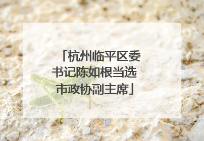 杭州临平区委书记陈如根当选市政协副主席