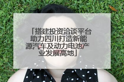 搭建投资洽谈平台 助力四川打造新能源汽车及动力电池产业发展高地