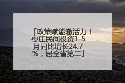 政策赋能激活力！枣庄民间投资1-5月同比增长24.7%，居全省第二