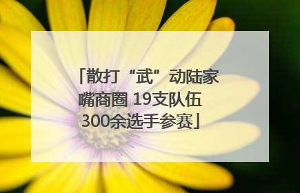 散打“武”动陆家嘴商圈 19支队伍300余选手参赛