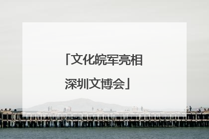 文化皖军亮相深圳文博会