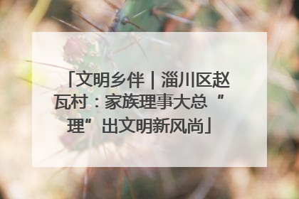 文明乡伴｜淄川区赵瓦村：家族理事大总“理”出文明新风尚