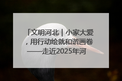 文明河北｜小家大爱，用行动绘就和谐画卷——走近2025年河北省“最美家庭”