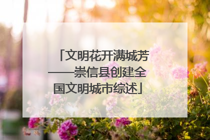 文明花开满城芳——崇信县创建全国文明城市综述