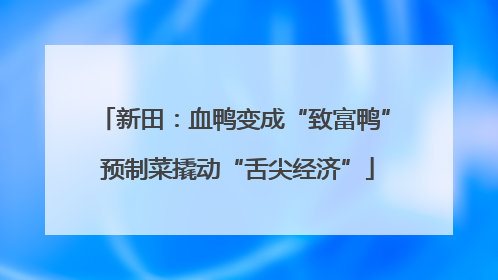 新田：血鸭变成“致富鸭” 预制菜撬动“舌尖经济”