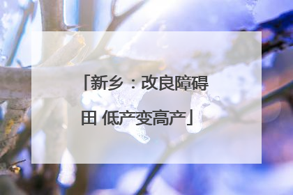 新乡：改良障碍田 低产变高产