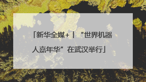 新华全媒+丨“世界机器人嘉年华”在武汉举行