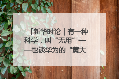 新华时论｜有一种科学，叫“无用”——也谈华为的“黄大年茶思屋”