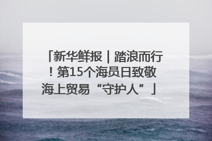 新华鲜报｜踏浪而行！第15个海员日致敬海上贸易“守护人”