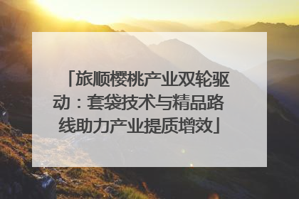 旅顺樱桃产业双轮驱动：套袋技术与精品路线助力产业提质增效