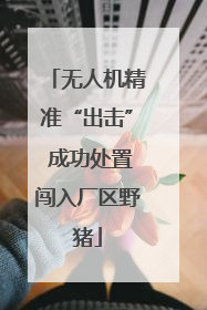 无人机精准“出击” 成功处置闯入厂区野猪