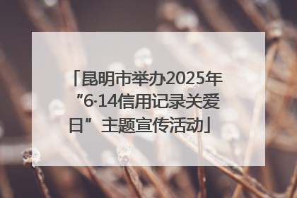 昆明市举办2025年“6·14信用记录关爱日”主题宣传活动