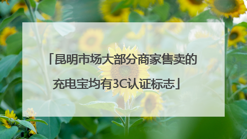 昆明市场大部分商家售卖的充电宝均有3C认证标志