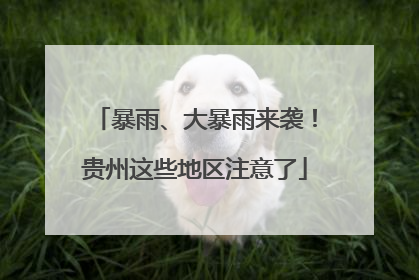 暴雨、大暴雨来袭！贵州这些地区注意了