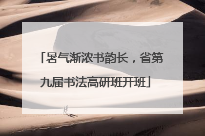 暑气渐浓书韵长，省第九届书法高研班开班