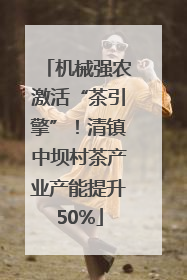 机械强农激活“茶引擎”！清镇中坝村茶产业产能提升50%