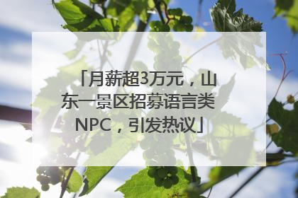 月薪超3万元，山东一景区招募语言类NPC，引发热议