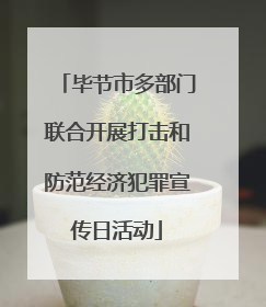 毕节市多部门联合开展打击和防范经济犯罪宣传日活动