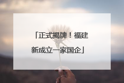 正式揭牌！福建新成立一家国企