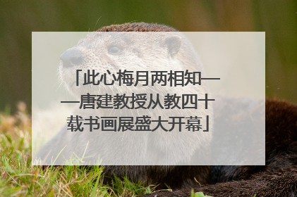 此心梅月两相知——唐建教授从教四十载书画展盛大开幕