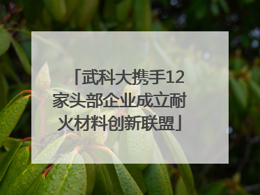 武科大携手12家头部企业成立耐火材料创新联盟
